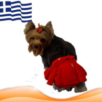 Greek made clothes/accessories for dogs/small animals