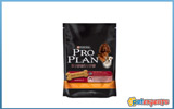 Pro Plan adult biscuits