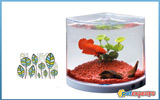 Mini betta aquarium with batteries